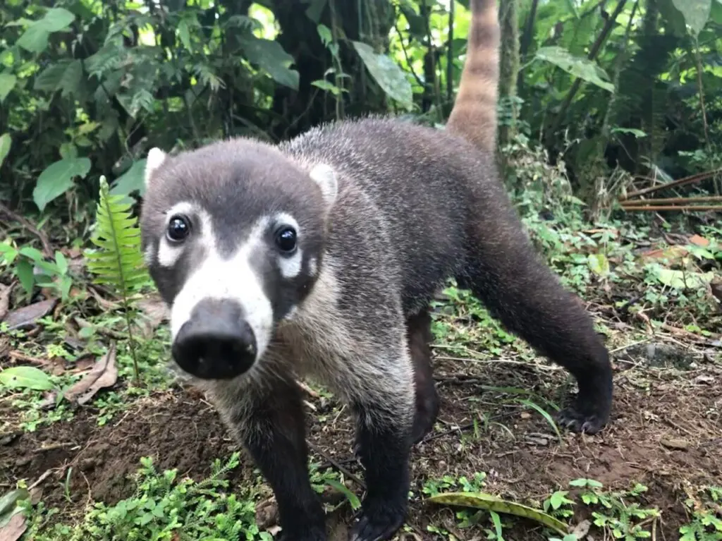 31a30275 a2c5 4618 a5c3 9f6d771de539.jpg