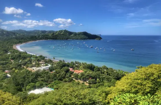 3254c7e6 25b1 4f08 aed5 e7a6ba7b8fa3.jpg