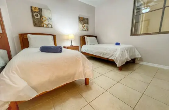 32f5590f b785 4f33 a0b4 e75eee921526.jpg