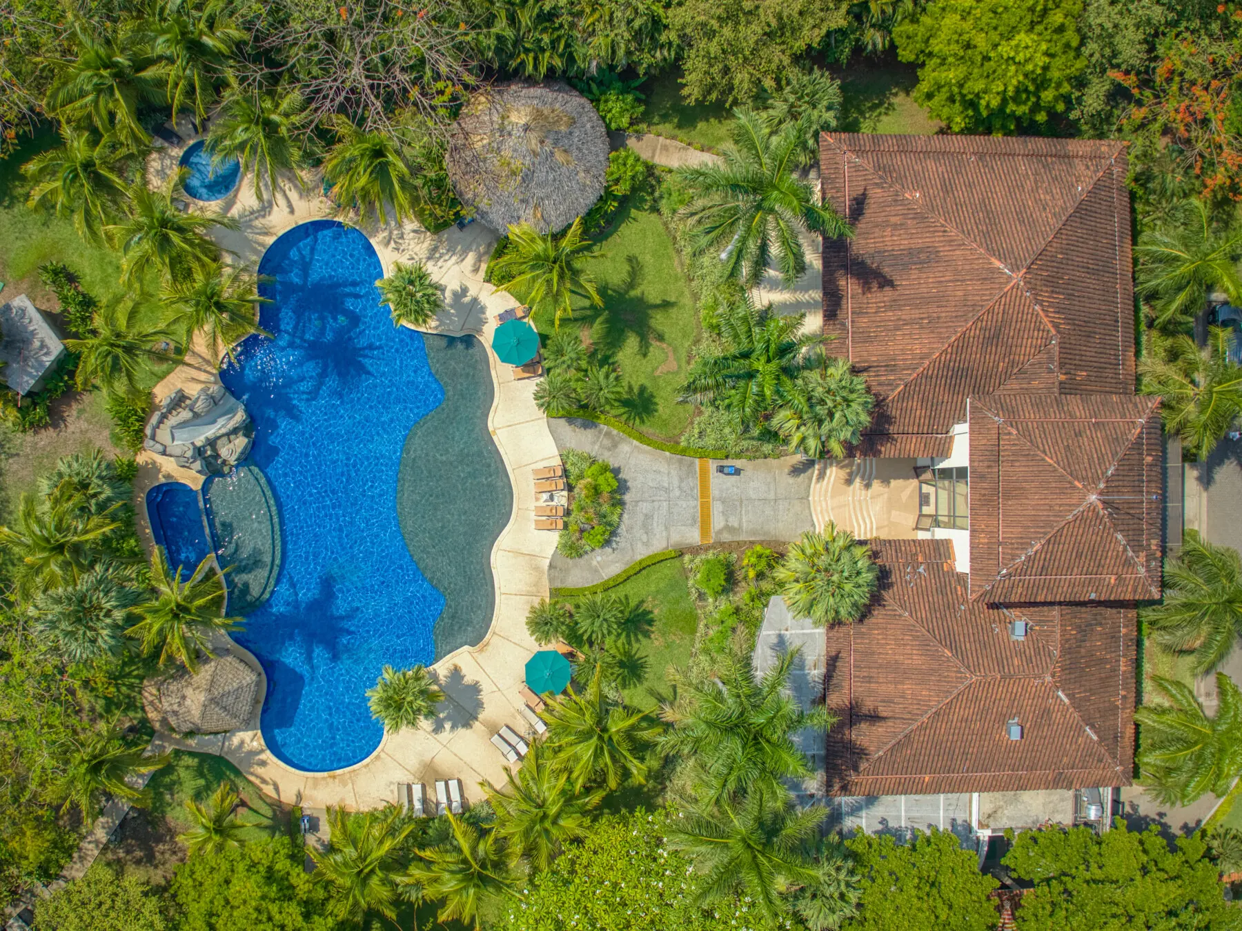 35386820 0d94 4370 8e73 290cc431c309.jpg