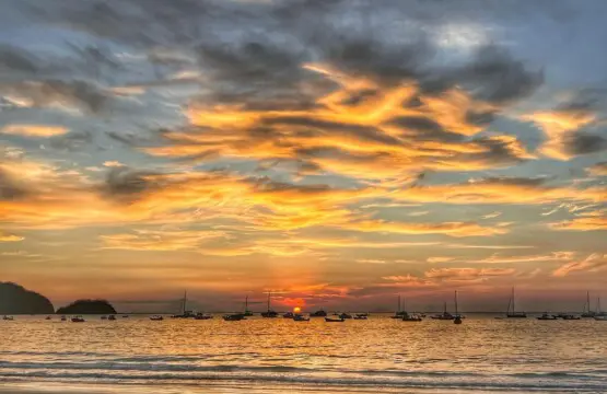 358f25ae 277c 44b1 b8db 40a2776f1206.jpg