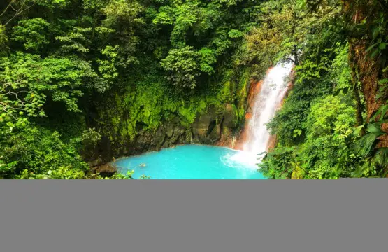 3696f277 4a00 45c8 a6c6 20273ad850d3.jpg