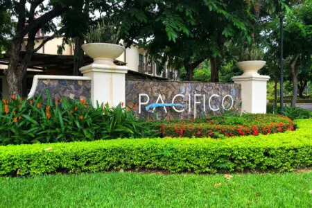 3a57e204 b9c2 4702 9c07 0fae0e8f9e0f.jpg