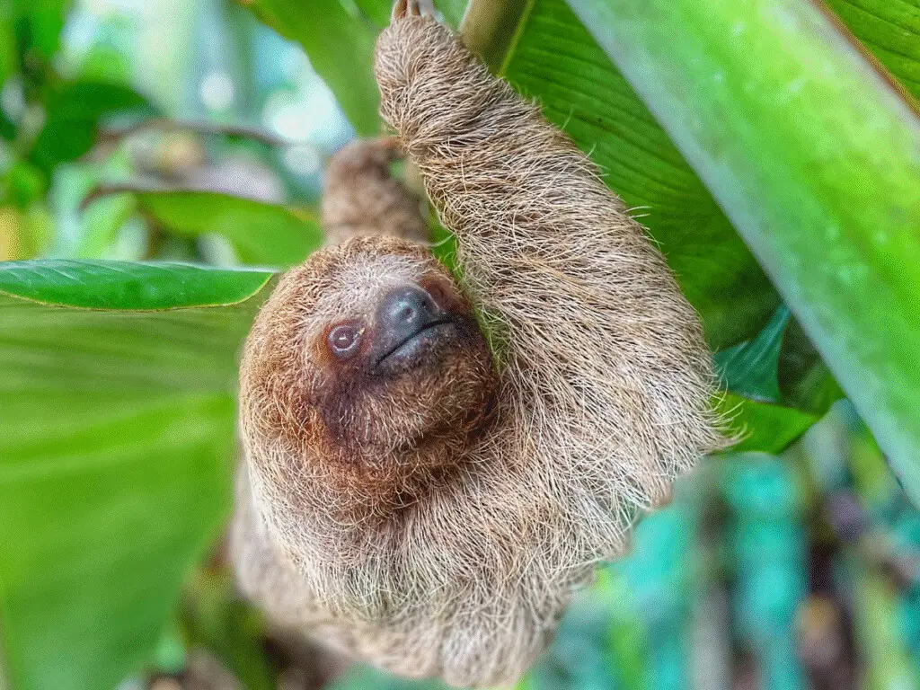 3aaa8192 dfe6 4fd2 94bf 119895d6cdcb.jpg