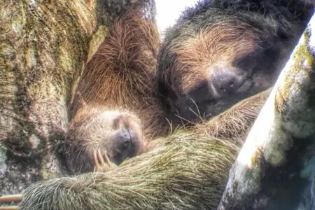 3b1b119e cb7d 4db9 9802 3667dc35f698.jpg