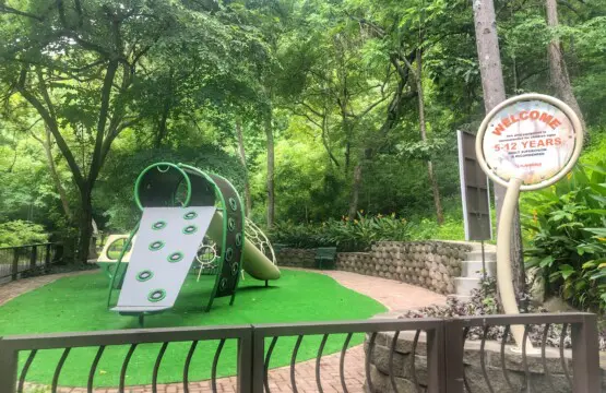 3cc23fd1 1520 4b46 96bd ac6e3c4b6ca8.jpg