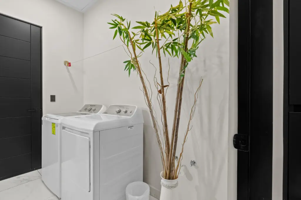 3f02e098 60c0 4749 a210 f526251978b2.jpg