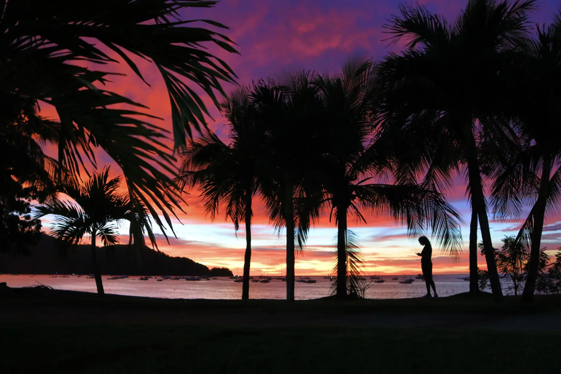 40163ba8 27e5 4dee a541 64926b3f6e84.jpg