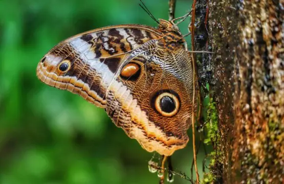 4472b6f9 b29b 4971 ac46 6b565f267e2f.jpg