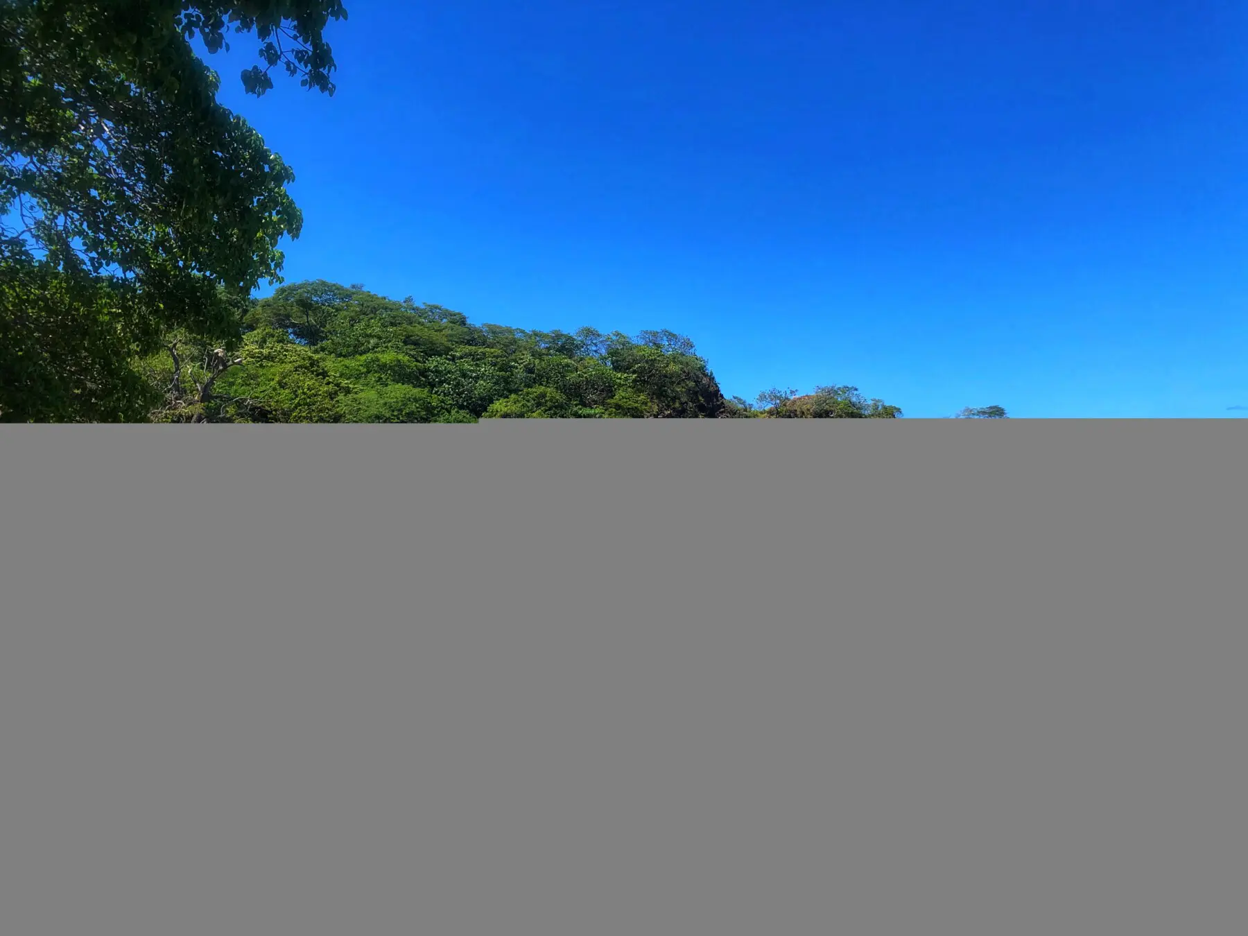 44f9fbb0 31d1 4134 92ca b3f54ac65b50.jpg