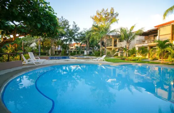 4778198d f593 47ab aca0 034fe28bc511.jpg