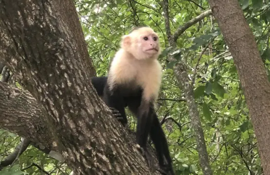 49e0a65f ec6c 4d6d ba7b 8d8122244136.jpg