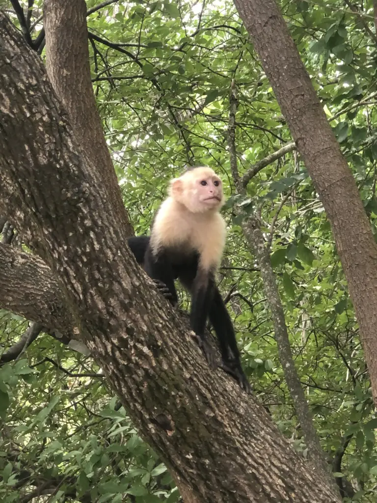 49e0a65f ec6c 4d6d ba7b 8d8122244136.jpg