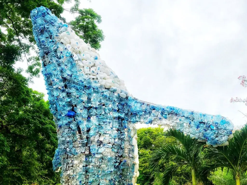 4aacf5c1 8aba 4d92 834e f54cc3c1a5aa.jpg