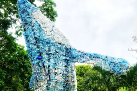 4aacf5c1 8aba 4d92 834e f54cc3c1a5aa.jpg