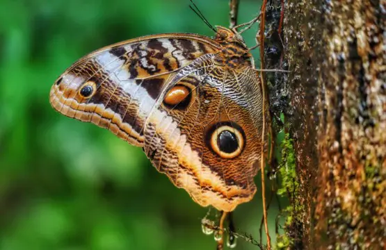 4cfd37d6 88e9 4e59 ad3c d9b5a1cc1064.jpg