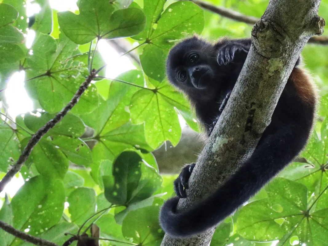 4eed3b33 d9d4 4fca a5bf d1790c435962.jpg