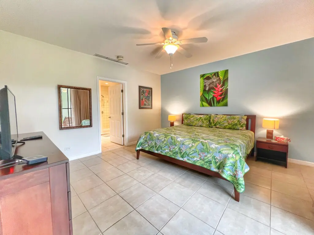 517377ed a4df 450e a95c c70ba4ccf8f4.jpg