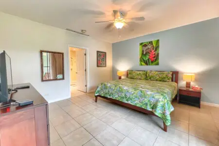 517377ed a4df 450e a95c c70ba4ccf8f4.jpg