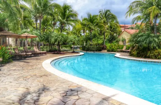 51eceeb8 3c12 40b3 b039 002389adae38.jpg