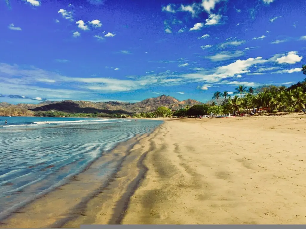 52fb6134 1213 43e5 9739 5ea6439c165b.jpg