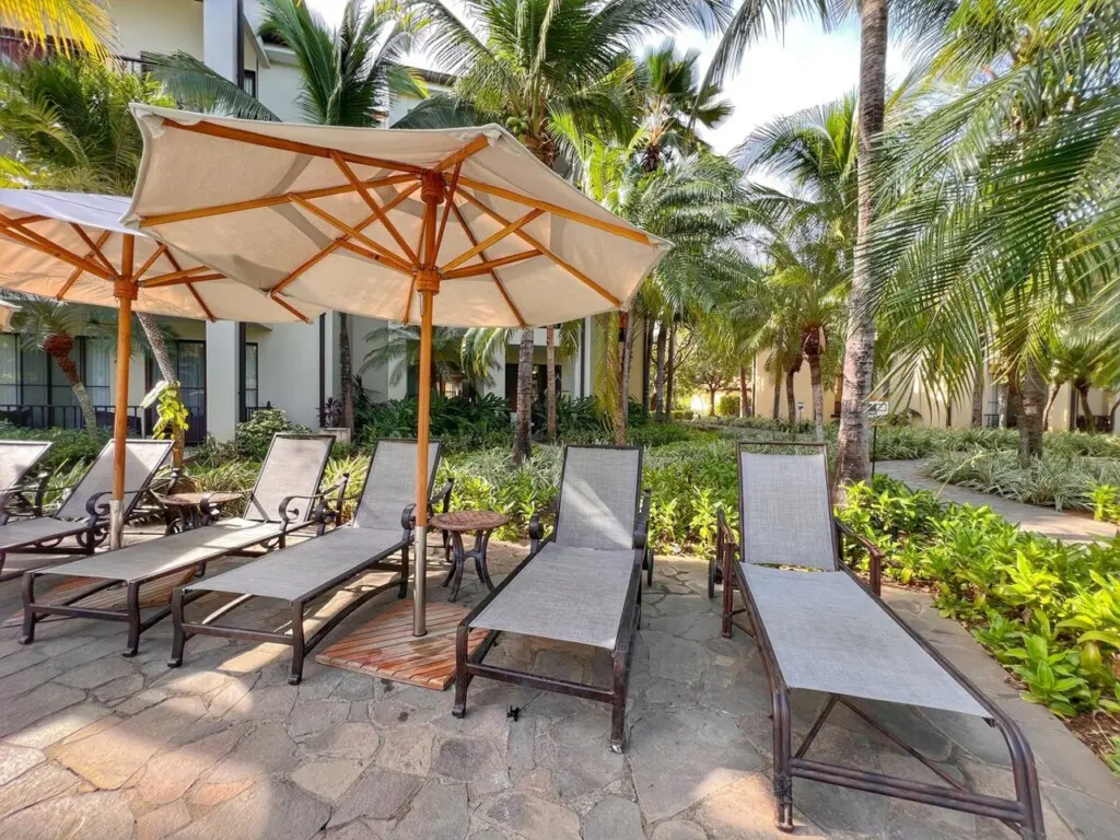 53150744 d75d 44de a462 d53ad497b378.jpg