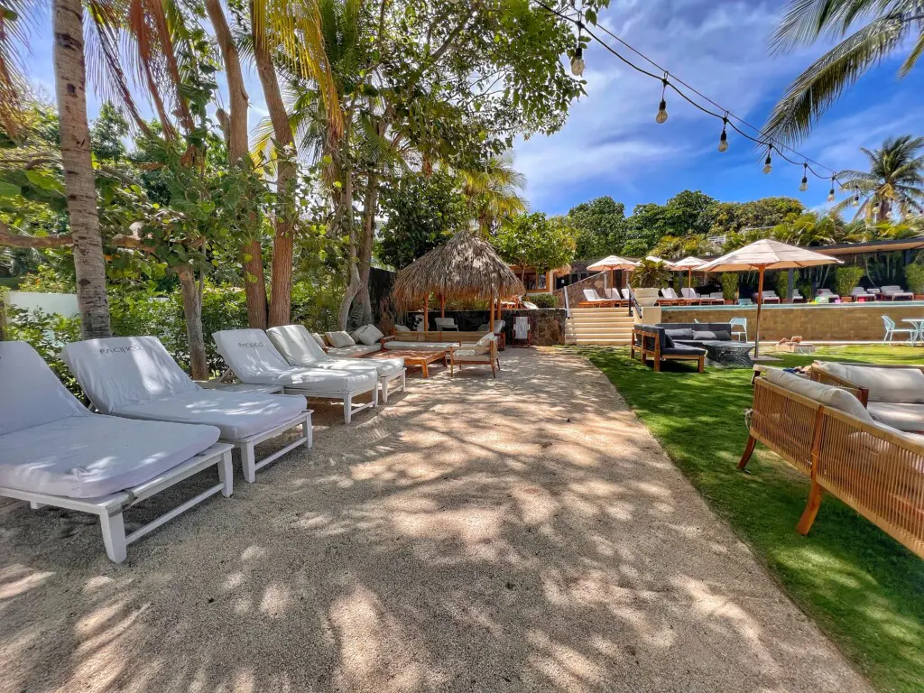 53ed70ea ae52 49b3 98ad 1366d45312ea.jpg