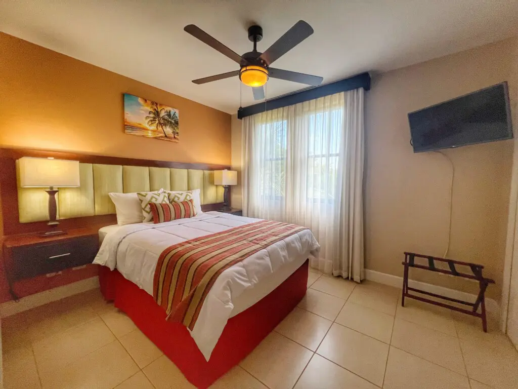 545bac24 9fc2 4df1 9927 dcdbdc9a2eba.jpg