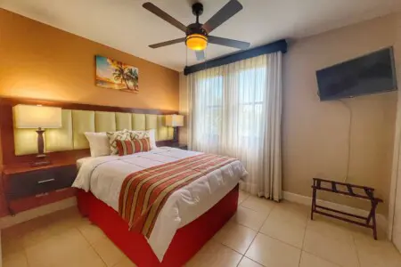 545bac24 9fc2 4df1 9927 dcdbdc9a2eba.jpg