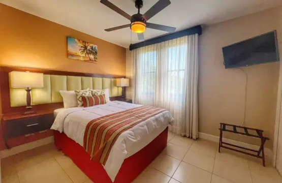 545bac24 9fc2 4df1 9927 dcdbdc9a2eba.jpg