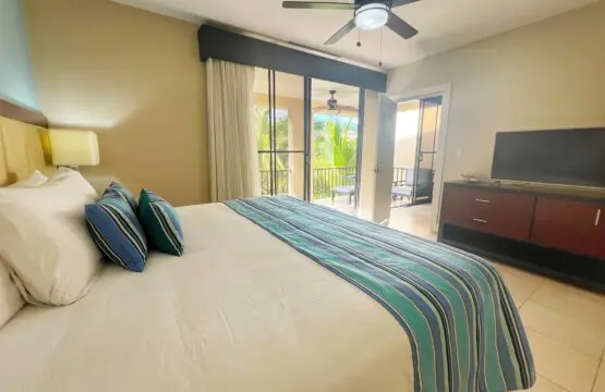 557da43f 6253 4f71 ac76 79eedcaeb03e.jpg