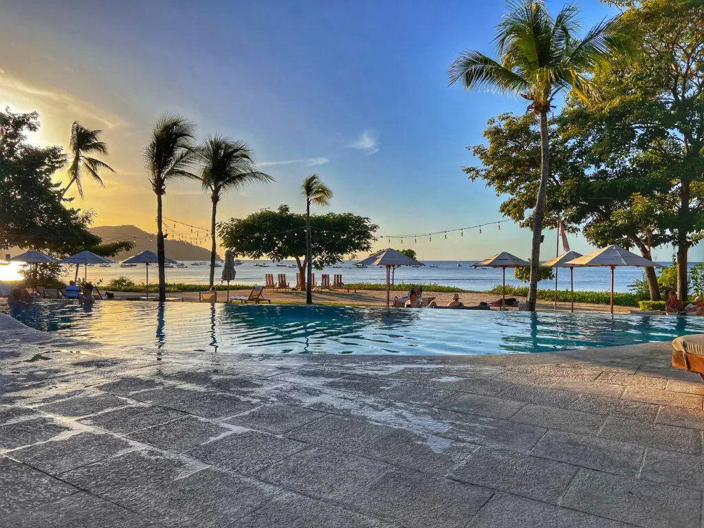 58615021 996c 4469 9b25 4b3111b0a8b9.jpg