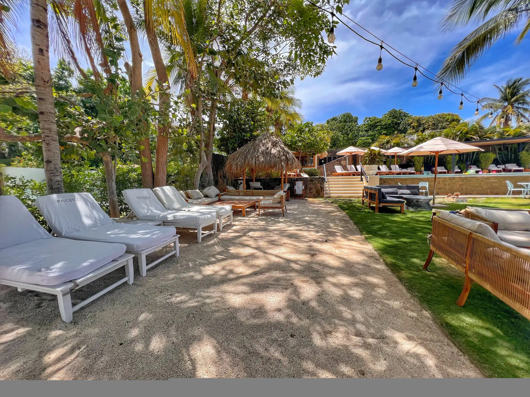 59192096 b911 43d1 ba39 c815da2ec188.jpg