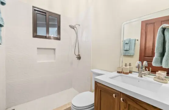 5a5bb345 3ab5 4f84 b27e 37f73a9a66dc.jpg