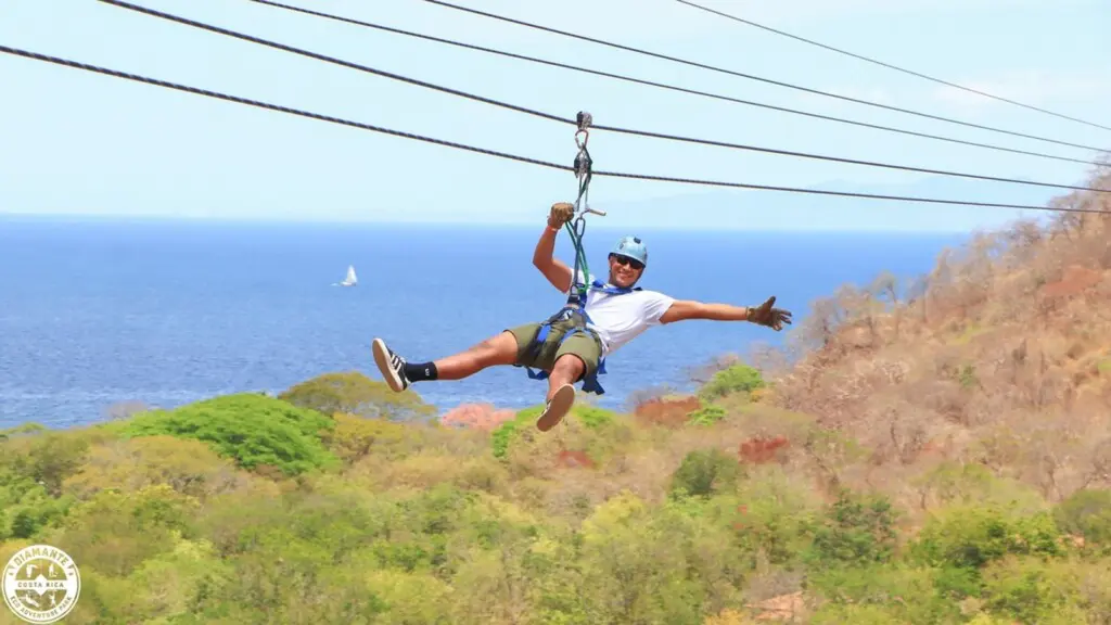 5cc4d3df bd85 43c3 bfb4 abe3e3d50b80.jpg