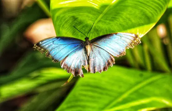 5ecd9846 a673 4d14 a711 500e11448e1a.jpg