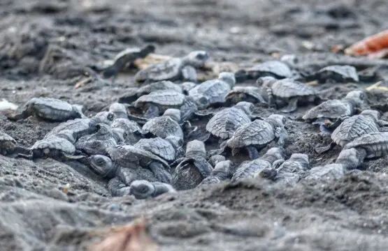 5f704f91 2b9a 4af3 9c07 5a46099236e9.jpg