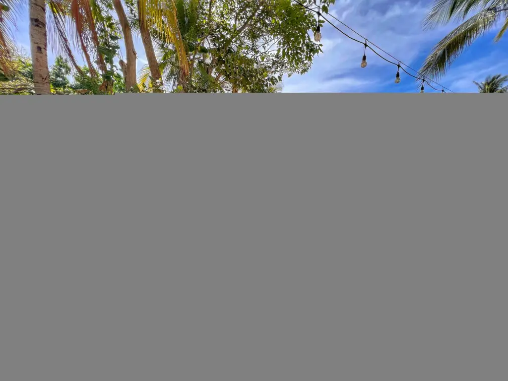 62245748 5612 48d8 85fb ee5cad85fb2c.jpg