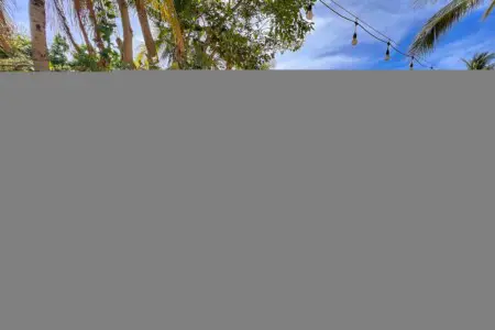 62245748 5612 48d8 85fb ee5cad85fb2c.jpg