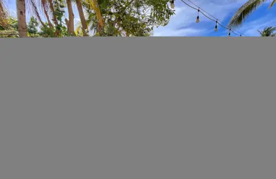 62245748 5612 48d8 85fb ee5cad85fb2c.jpg