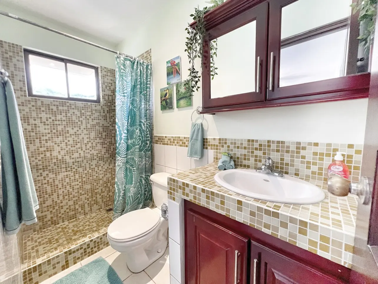 62c71a3c 2eee 475f be49 cb48a7fe8d66.jpg