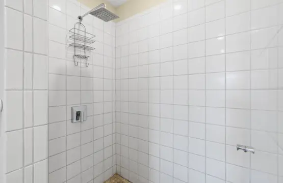 65364933 cb52 4c54 80af a1e646899c22.jpg