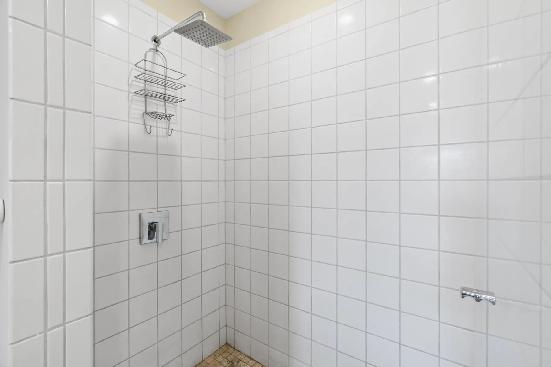 65364933 cb52 4c54 80af a1e646899c22.jpg