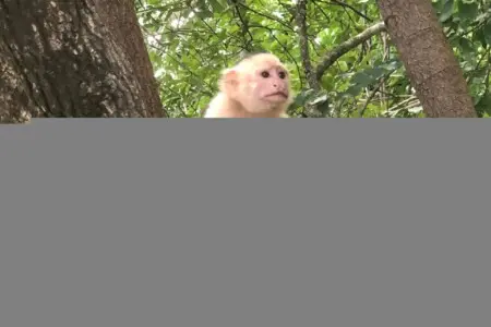 65609cb8 c9b8 431b b231 4924711e3643.jpg