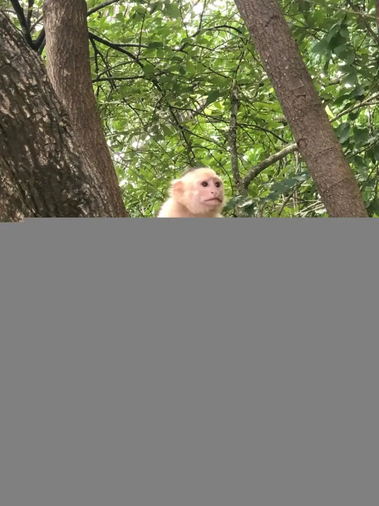 65609cb8 c9b8 431b b231 4924711e3643.jpg