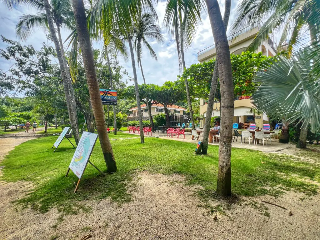 686ed2b4 5e4e 4ff0 bbcc 5363eecd01d5.jpg