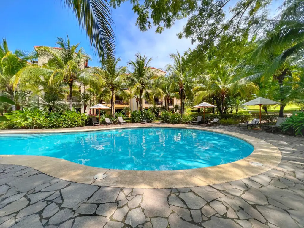 692776c3 6030 4d4f b560 e19e4735fae6.jpg