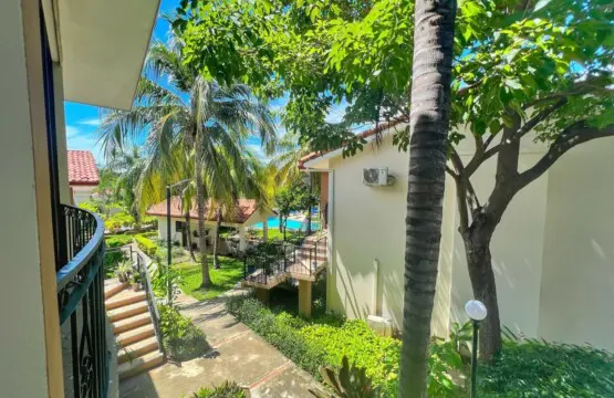 69ed5c03 594d 4439 b54f 74e73cd39783.jpg