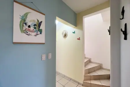 6a14454e 2446 4d61 bfa1 d38c245a84f6.jpg