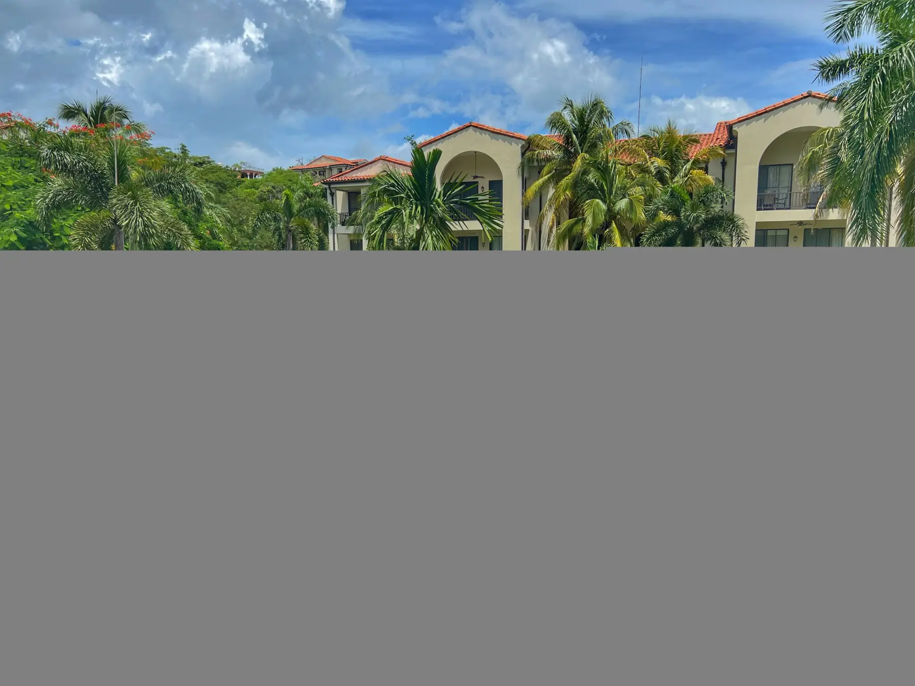 6a542c89 a6f5 481d b94b 4205cfaf22d0.jpg